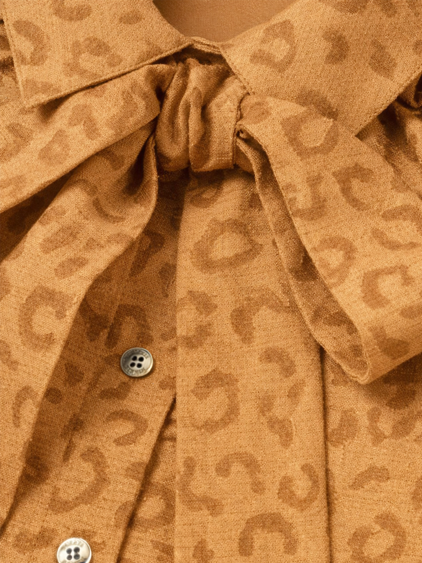 Pragues Leopard Blouse