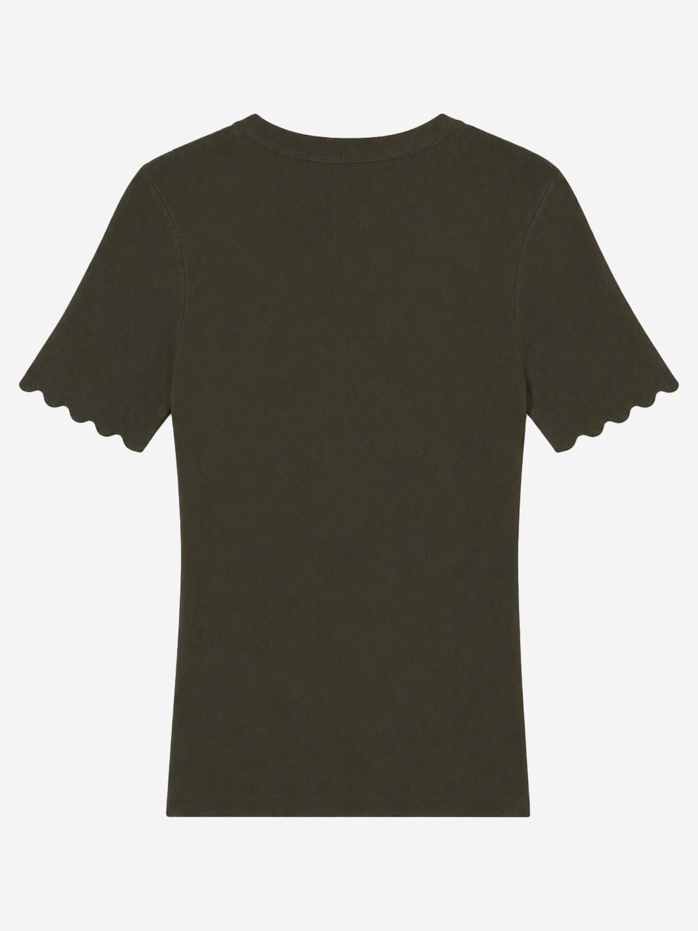 Scallop Jolie SS Top