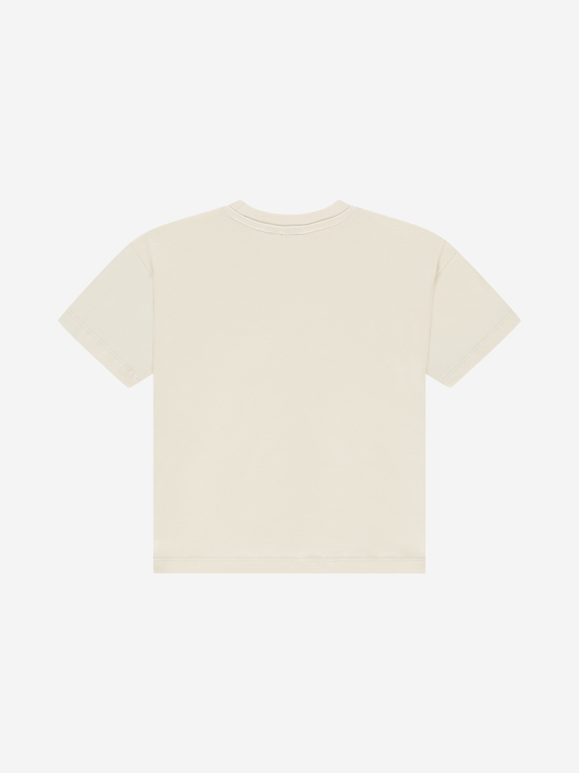 Sage T-Shirt