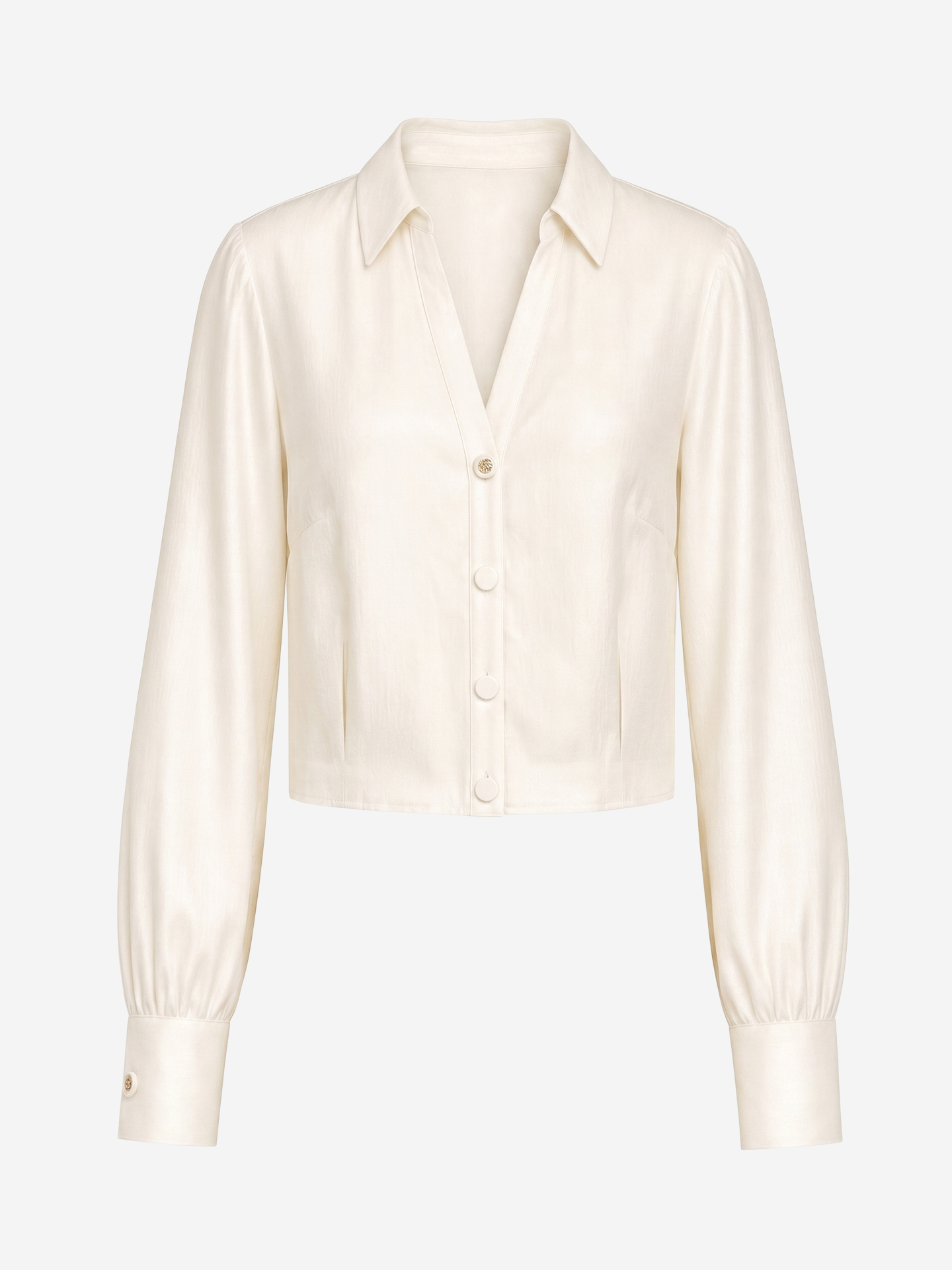Shiny blouse