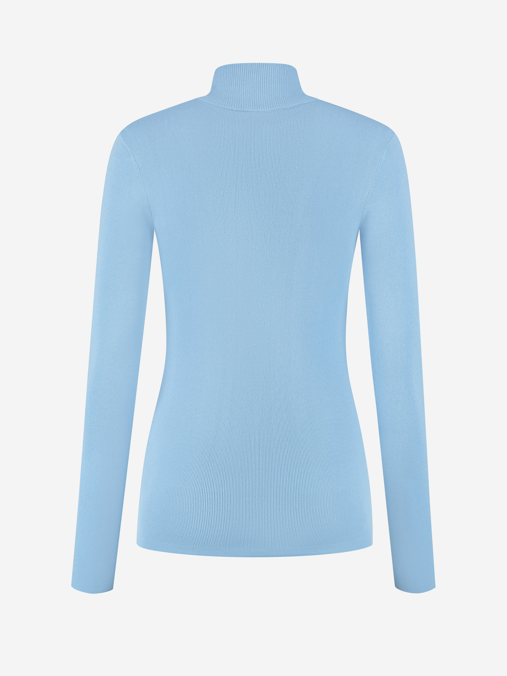 Jolie Ski Turtle Neck