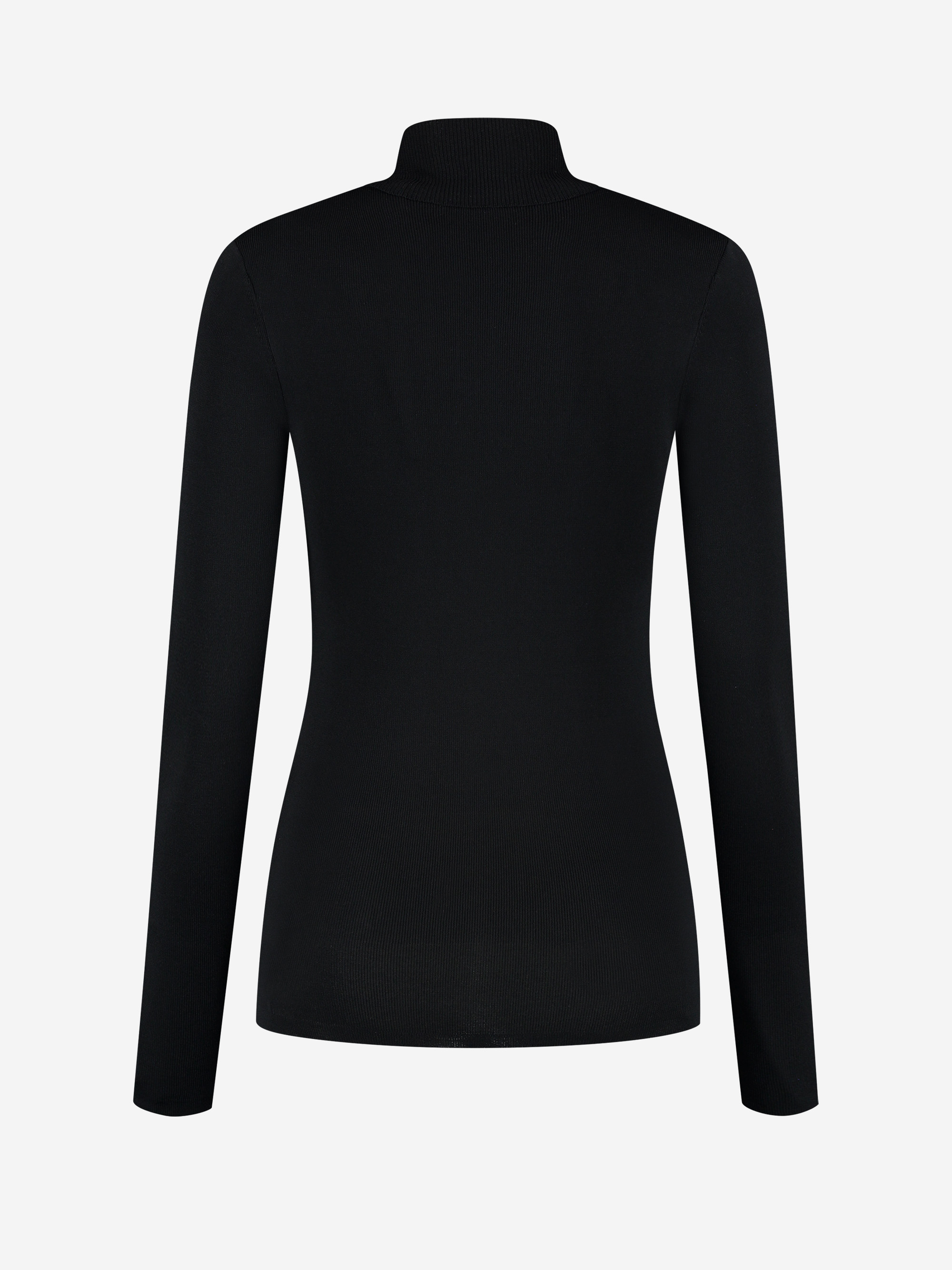 Jolie Ski Turtle Neck