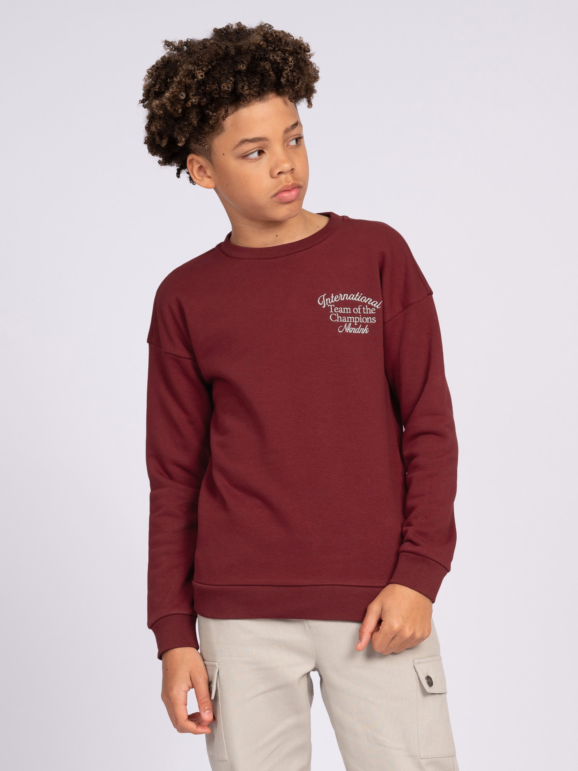 Champion Sweatshirt