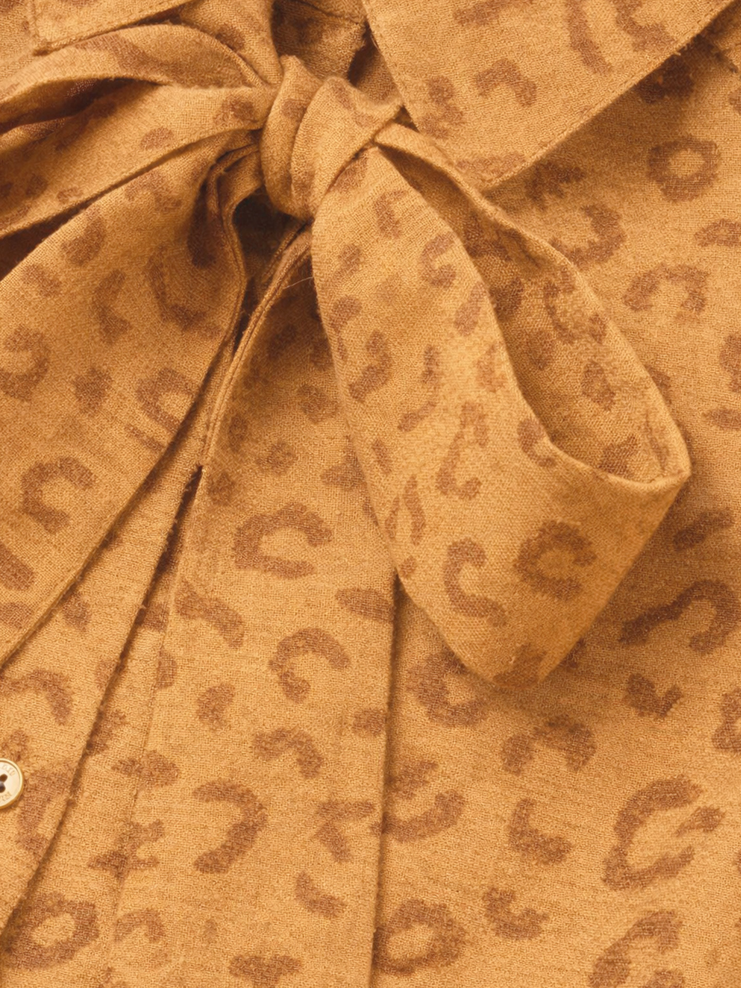 Pragues Leopard Dress