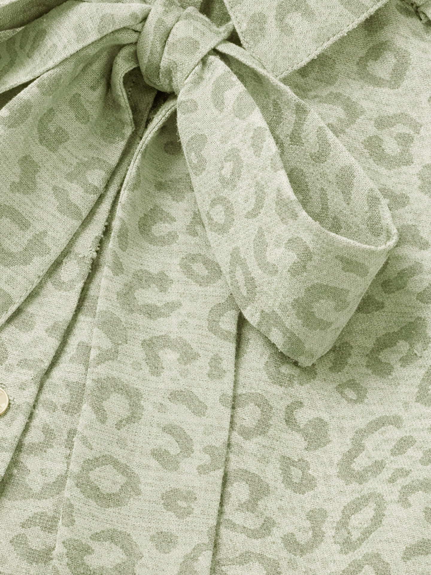 Pragues Leopard Dress